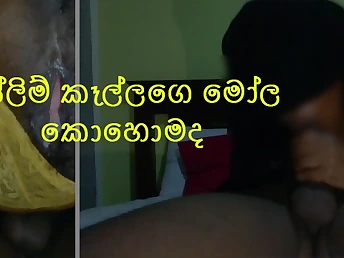 Thai bitch Fuck rocks rigid in HD pornography flick with Sri Lankan honey's fat bootie and globes